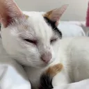 我叫小ㄑㄧˊ🧡