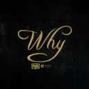 why Team