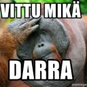 VITTU MIKÄ DARRA