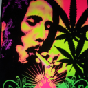Stoner Express