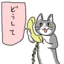 青葉卓
