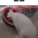 Me lon