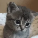 кристалек