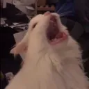 π»ππ'π ππππ!