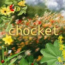 Chocket Discord Server Icon