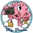 Smarties Big Brains