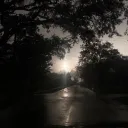 incineration Discord Server Icon