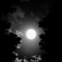 🌙 • Décale