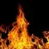 The Fire-Pit
