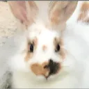 R3pt1c's World's icon