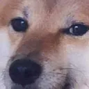 Borobow server