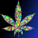 🪦 Cannabis Crusaders