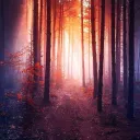 Testing Bot