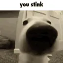 The Pen
