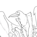 PurpleMagpie's server
