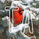 Tulpa Lodge