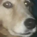 La dictadura de YSY A