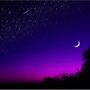 Otaku Paradise's icon