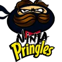 The Pringle Tin Dojo