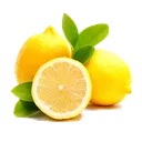 Lemon Squad