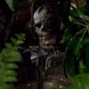 Old Borg