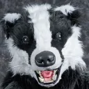 VoreBadger's Sett