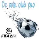 mickael_lib/twitch