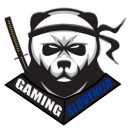 Discovery icon for GAMING SLOVENIJA Discord server