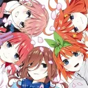 ˚₊⁎ Yumeri Tale ⁎⁺˳༚ Discord Server Icon