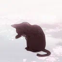 Cool Beans Club