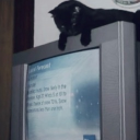 channel 28 Discord server icon