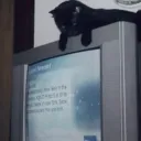 channel 28 Discord Server Icon