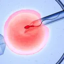 IVF Support