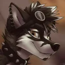 Sekai the fox's server new
