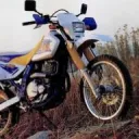 Dual Sport and ADV Riders