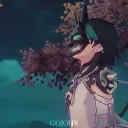 sarrybeary's berry bushes