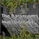 The Backrooms Investigation.