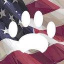 Politifurs