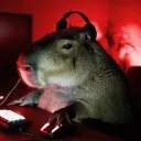 Toots Gaming Server
