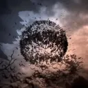 𝗡𝗜𝗚𝗛𝗧 𝗕𝗔𝗧𝗦