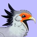 Academia de Avem Discord Server Icon