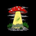 Rainbow Road Discord Server Icon