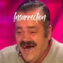 The Insurrection
