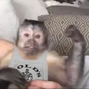 001 Discord server icon