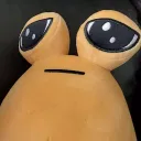 Poucord