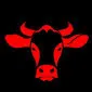 the moocow server