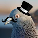 Pigeon Division
