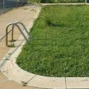 grass grow