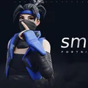 The Smods