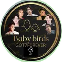 🐣TeamBabyBirds🐣
